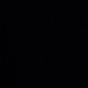 Meet your Posher, Audrey